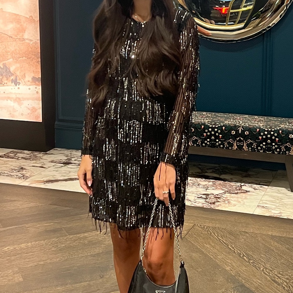 Zara Sequin Fringed Mini Dress - Picture 3 of 3